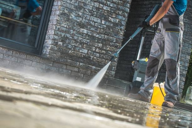 Best Driveway Pressure Washing  in Paramount, CA